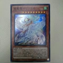 真竜凰マリアムネ【ひらっち様専用】のサムネイル