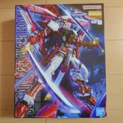 ジャンク品 ガンプラ MG 1/100 シャア専用 ゲルググVer.2.0完成品