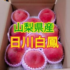 山梨県産 天然の桃ジュース 日川白鳳 3kg箱 - メルカリ