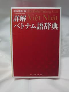 詳解ベトナム語辞典 (全体的に状態が悪い)のサムネイル