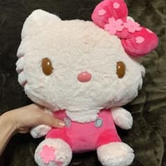 【亜衣様専用】ハローキティ ぬいぐるみのサムネイル