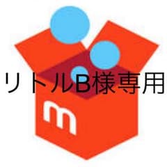 リトルB様専用ページですのサムネイル