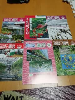 イチゴづくり　計6冊のサムネイル