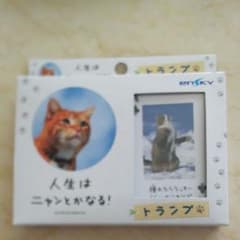 人生はニャンとかなる！ トランプ♠ 新品・未使用 猫 好きな方のサムネイル