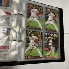 新品未使用ファイル付き　２０２１プロ野球チップスカード　第一弾　合計２０３枚 新品未使用ファイル付き 2021プロ野球チップスカード 第一弾 合計