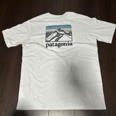 patagonia Tシャツ　s ホワイトのサムネイル