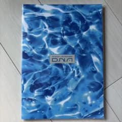 Aぇ! group D.N.A パンフレットのサムネイル