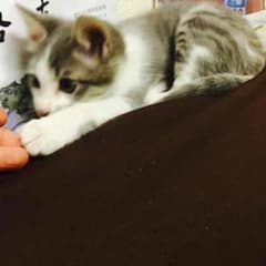 まちそんベイビー様専用のサムネイル