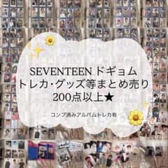 SEVENTEEN ドギョムDK トレカ グッズ セット まとめ売りのサムネイル