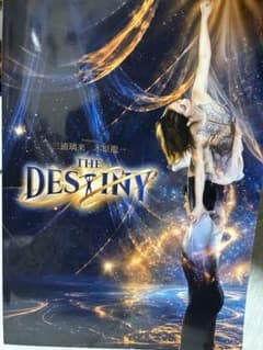 THE DESTINY プログラムのサムネイル