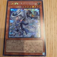 遊戯王OCG 沈黙の魔導剣士－サイレント・パラディンのサムネイル