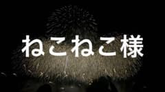 土浦花火　31 区画前列のサムネイル