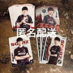 IJLカード そ〜ら soar 第五人格 SZ SCARZ スカーズ 第5人格のサムネイル