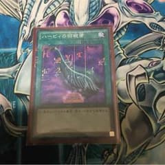 ハーピィの羽根箒のサムネイル