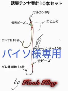 【誘導式テンヤ】　替針10本セット　一つテンヤ 　　　　　　　　バイソ様専用のサムネイル
