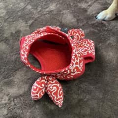 小型犬用　ハーネス　使用期間3ヶ月のサムネイル