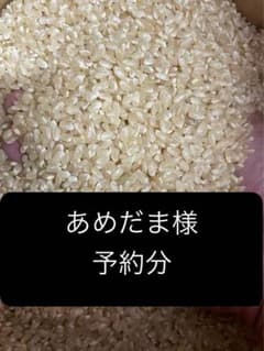 あめだま様　予約分　魚沼ひのサムネイル
