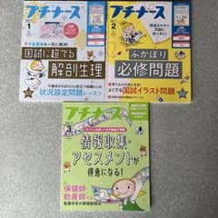プチナース 2025年1月号〜3月号 3冊セット 照林社のサムネイル
