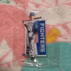 北海道日本ハムファイターズ DOMIれ！ アクリルスタンド 清宮幸太郎