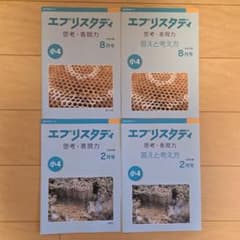 Z会 小４ エブリスタディ 思考・表現力 8月号2月号 未使用のサムネイル
