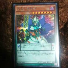 めめちん様専用　相克の魔術師シクのサムネイル