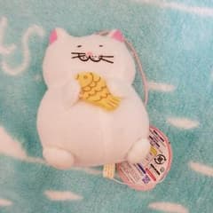 でぶねこのサムネイル