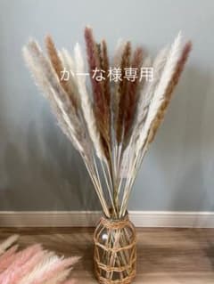 かーな様専用のサムネイル