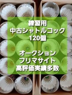 m90109736907_1.jpg?1790651319