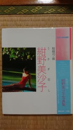 【はとぽっぽ様専用】【帯付き】【美品】紺野美沙子 写真集「うさぎ恋し」のサムネイル