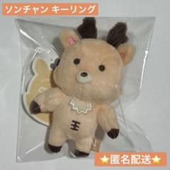 RIIZE 10CM DOLL KEY RING ソンチャン ウラッバム - メルカリ