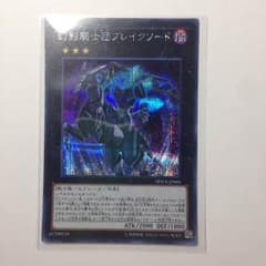 サワムー様専用のサムネイル