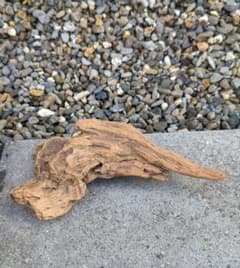 天然の流木のサムネイル