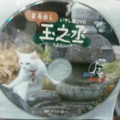 猫侍　南の島へ行く！！のサムネイル