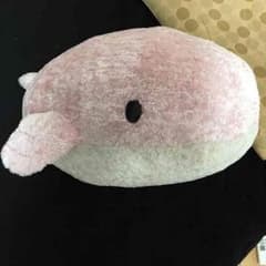 ぬいぐるみのサムネイル