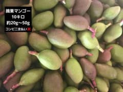 摘果マンゴー　10キロのサムネイル