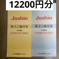 上新電気　株主優待　61枚　割引券12200円分のサムネイル