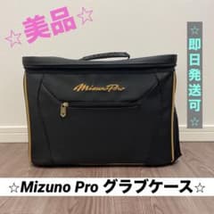 ⭐︎美品_限定品⭐︎】ミズノプロ グラブケース1FJC250209 グローブ