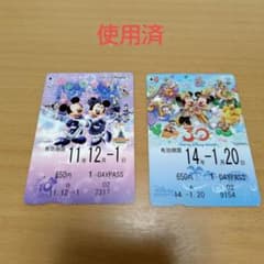 ディズニー リゾートライン フリー切符 30周年1枚クリスマス1枚【使用