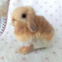 ロップイヤー うさぎ オレンジ お座り 羊毛フェルト ハンドメイド 置物