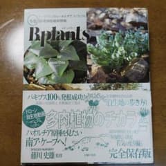 ビザールプランツ B.plants 冬型のサムネイル