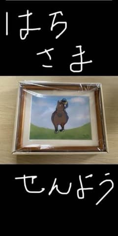 JRAポイントプログラム おがわじゅりイラスト コンプリート5点セット
