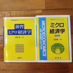 ミクロ経済学2冊セット 基礎＋演習 初学者向けのサムネイル