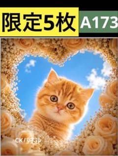 限定5枚！ にゃんこ 猫ちゃん レアパネル生地 無くなり次第終了です