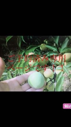 10キロ！S〜 L kinako_63様専用ページでございます！のサムネイル