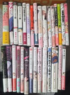 ボーイズラブ漫画セット BL漫画まとめ売り30冊セット - メルカリ