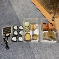 レプタイルボックス　爬虫類　シェルターのサムネイル