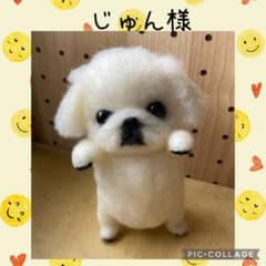 羊毛フェルト ペキニーズちゃん ハンドメイドのサムネイル