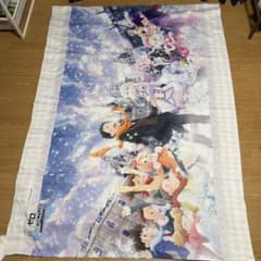 Re:ゼロから始める異世界生活 MemorySnow 遮光カーテン リゼロ - メルカリ