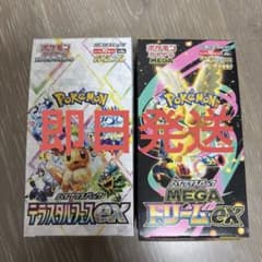 MEGAドリームex テラスタルフェスex シュリンクなし 2BOX - メルカリ