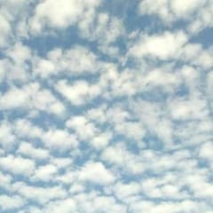 ミクリケット様専用☆☆(*´˘`*)♡のサムネイル